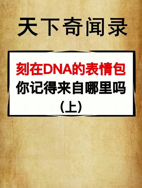 哈哈哈 又是你们喜欢的系列奉上