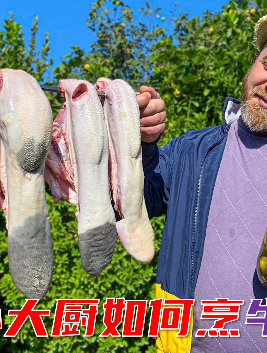 老外的牛舌菜,让我感觉很不自在!03