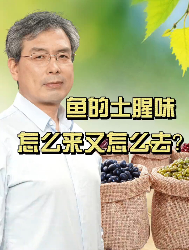 鱼的土腥味怎样祛除?