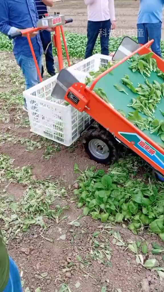 青菜收割机