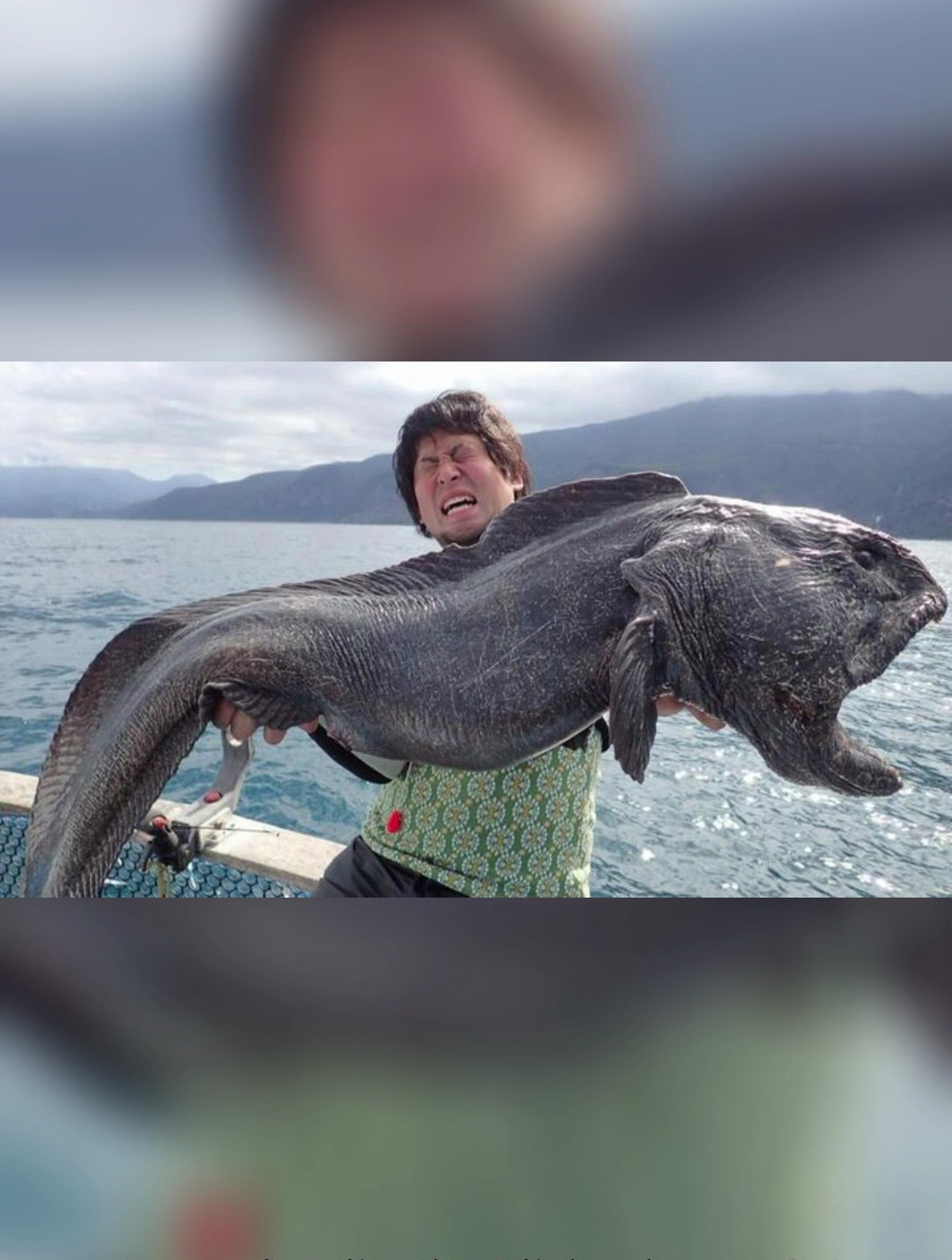 日本8336米深海发现怪鱼