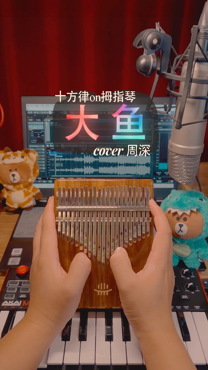 【拇指琴/卡林巴】《大鱼》cover周深