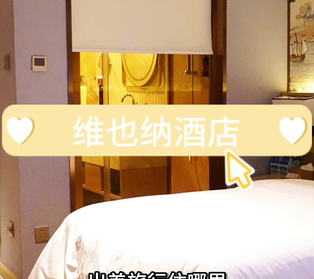 维也纳酒店:艺术与舒适的结合,更有多种房型任您挑选