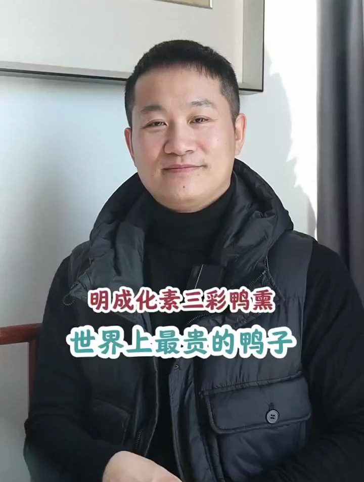 大家看一只世界上最贵的“鸭子”!