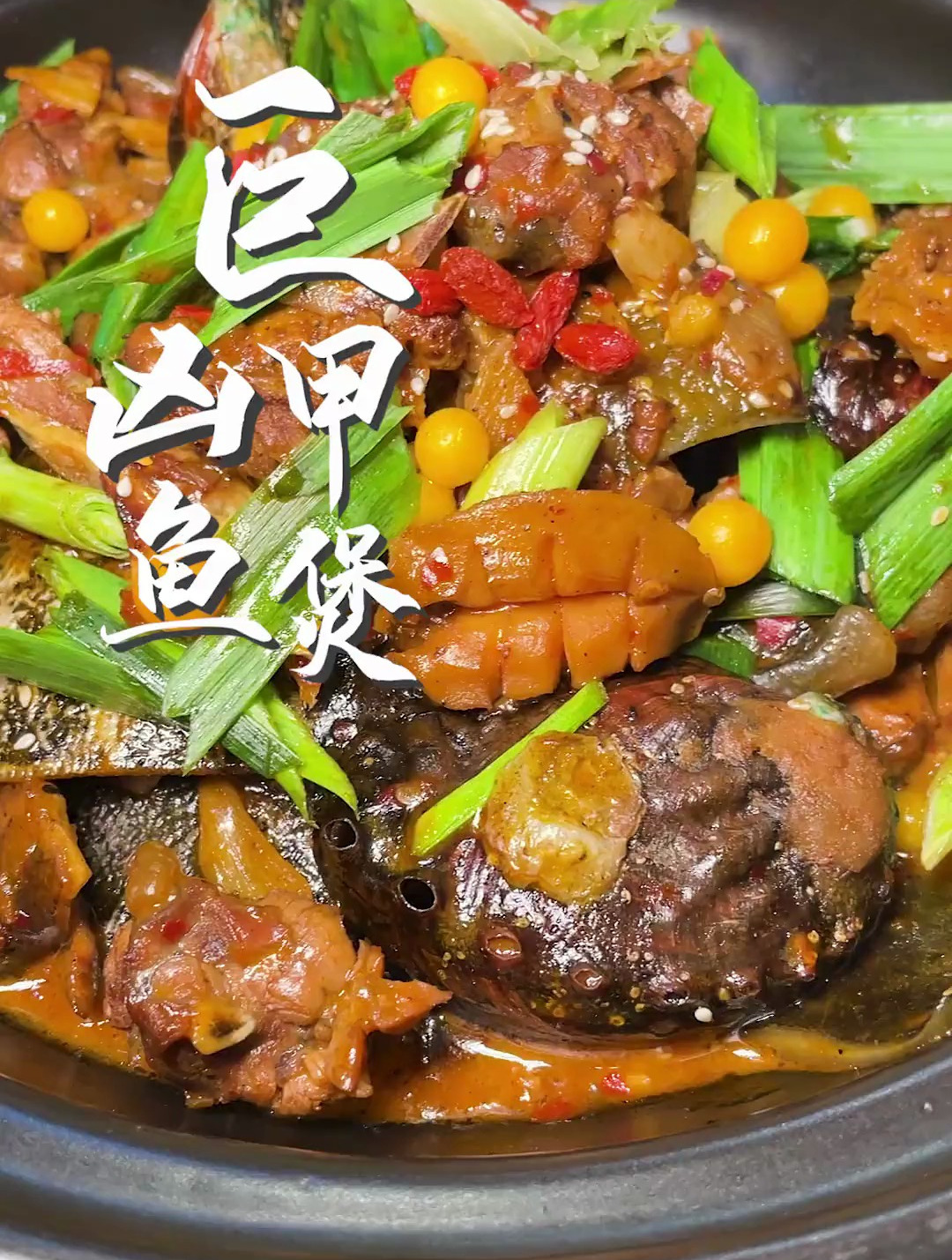 比老婆还凶的甲鱼做的红烧甲鱼煲,吃过的人都很happy