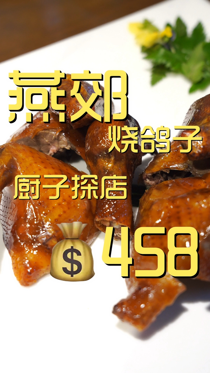 燕郊烧鸽子 厨子探店¥458