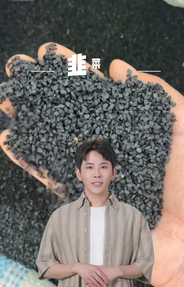 韭菜籽是什么,请大家悉知
