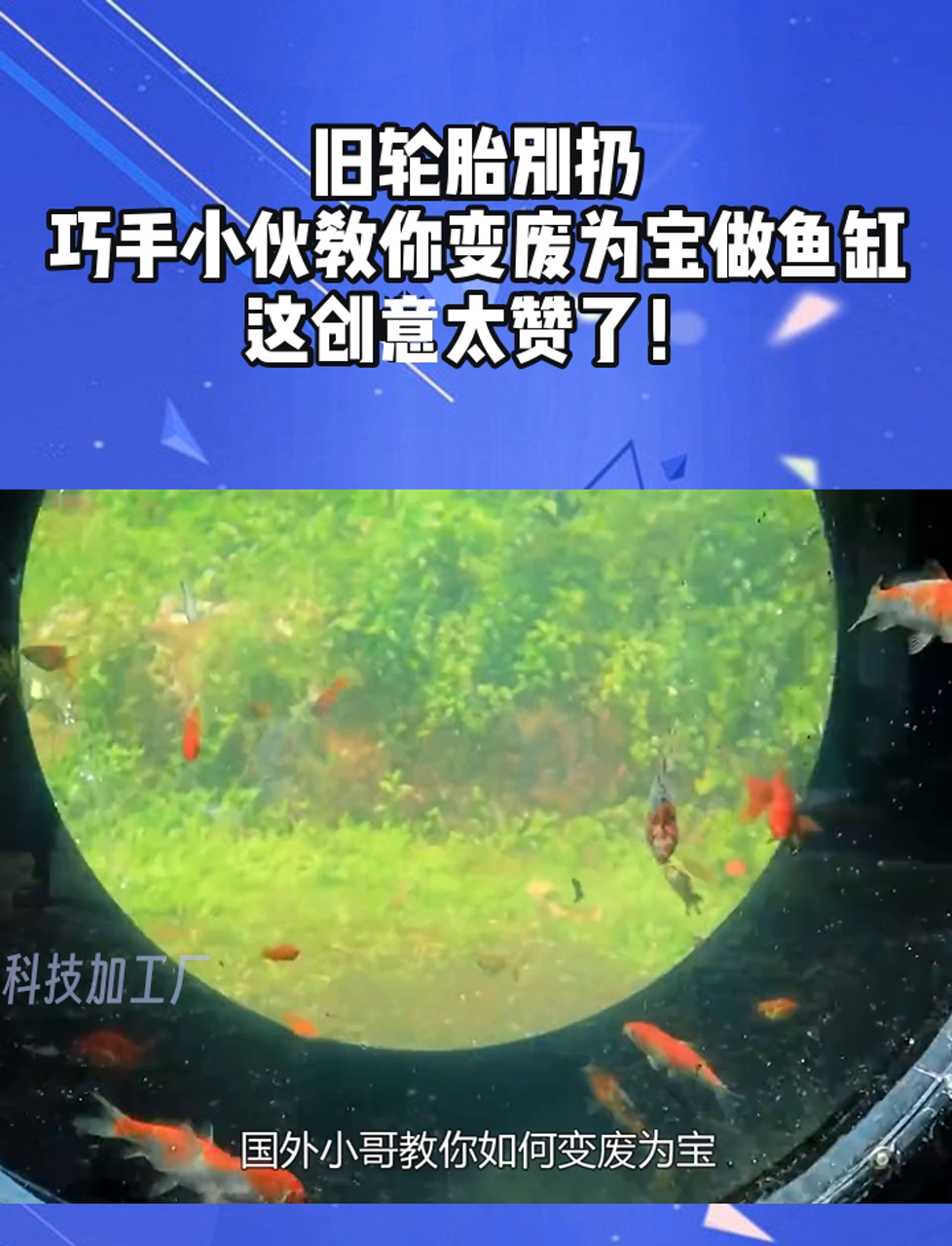 旧轮胎别扔,巧手小伙教你变废为宝做鱼缸,这创意太赞了!