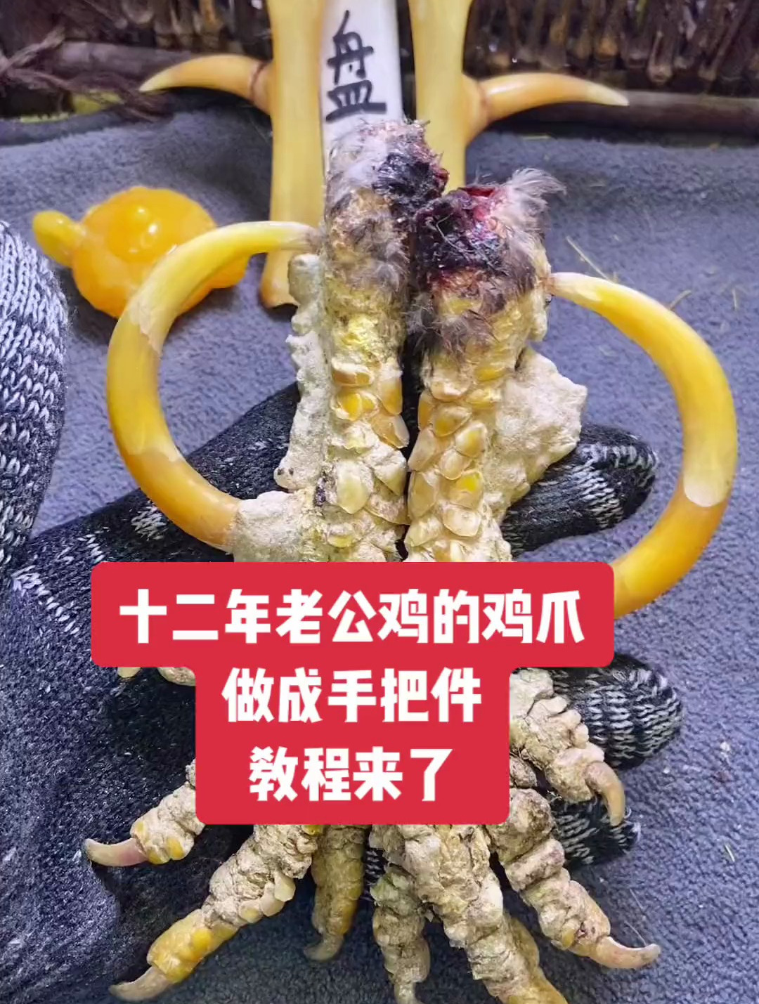 十二年的老公鸡的爪子做成手把件,好看吗?