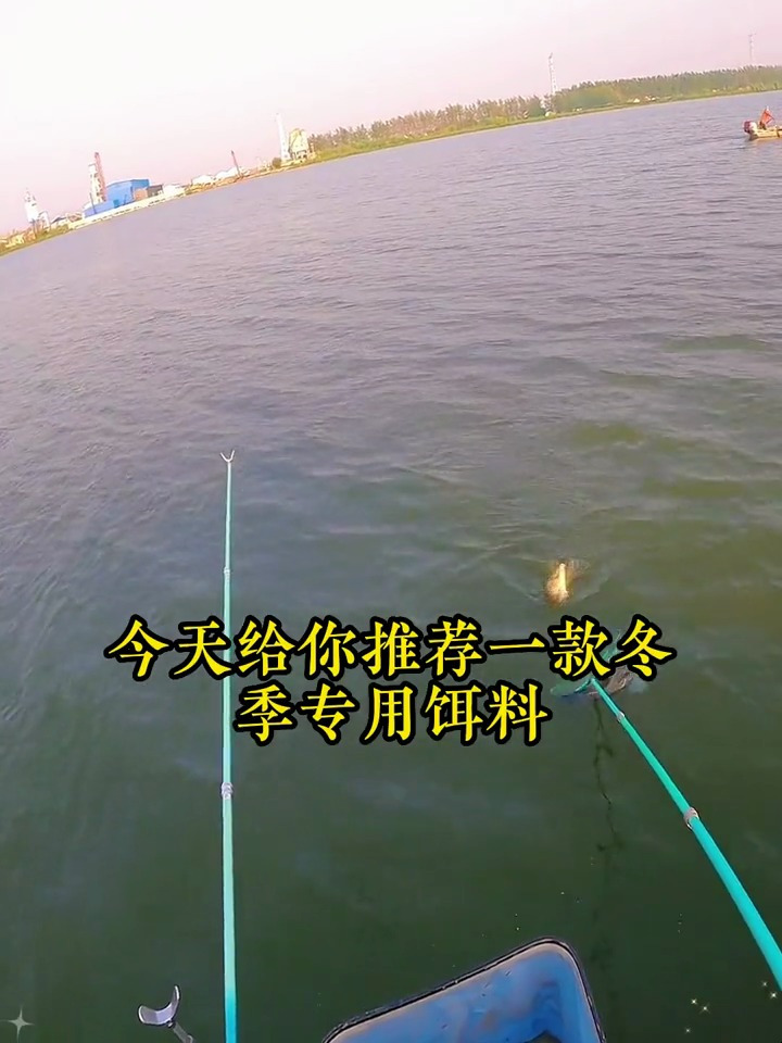 你是用什么饵料钓鱼的?