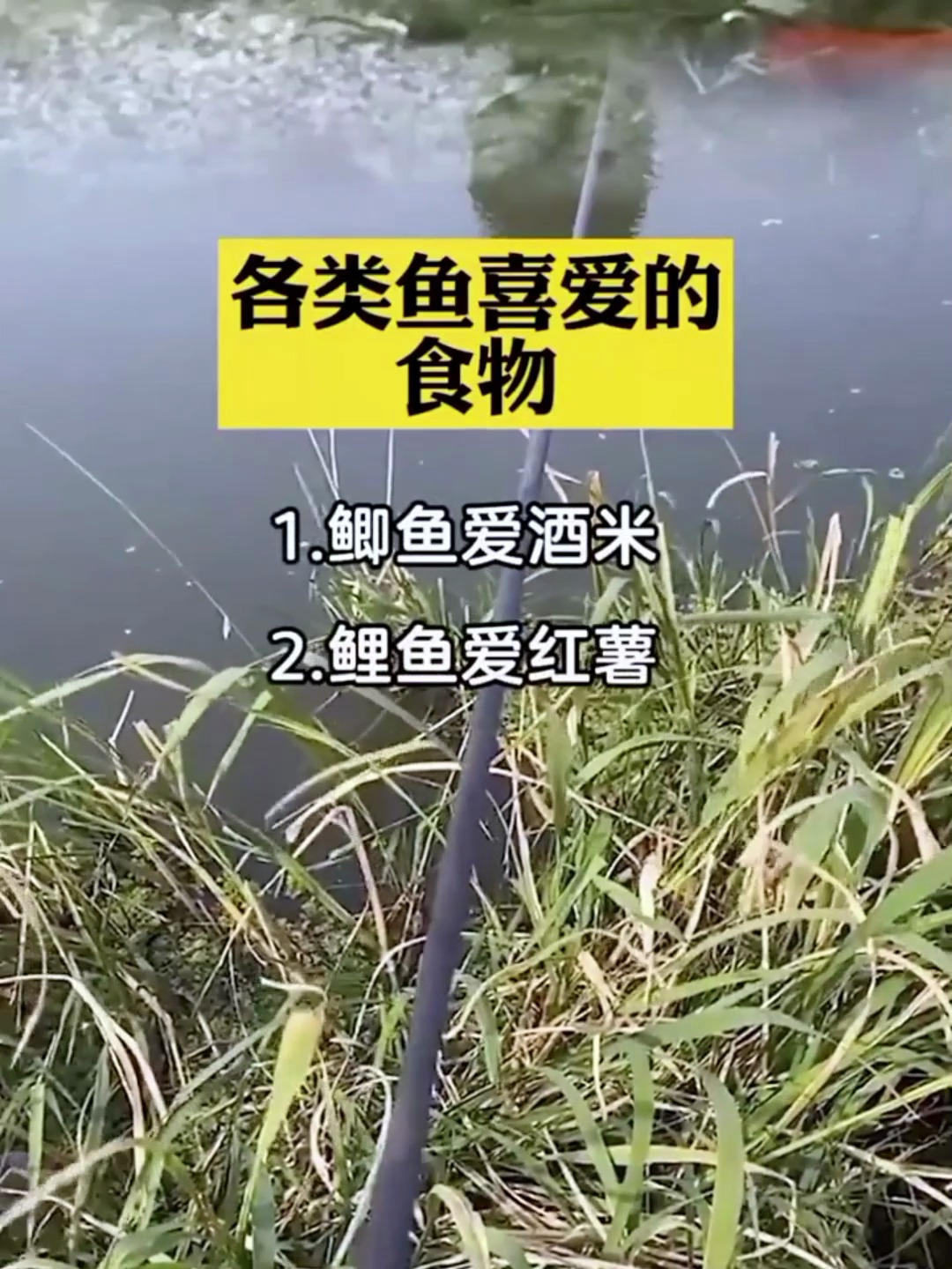 你知道各类与最喜欢的食物吗?学会百发百中!
