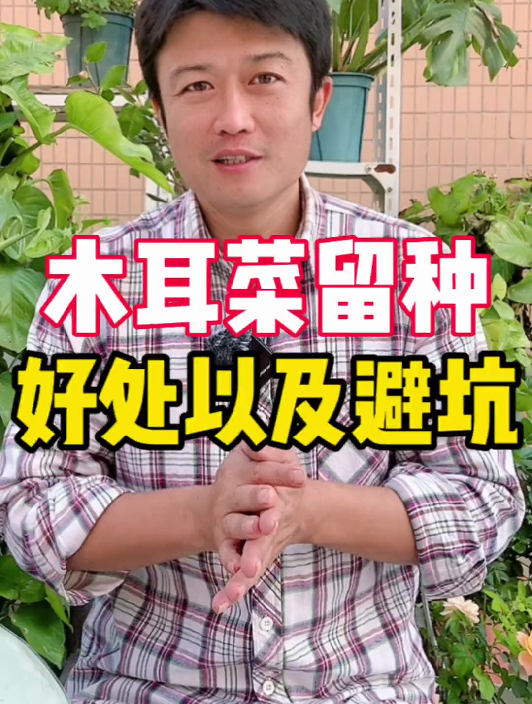 吃了很久的木耳菜都结出白色的球形果子,这说明马上可以留种子了
