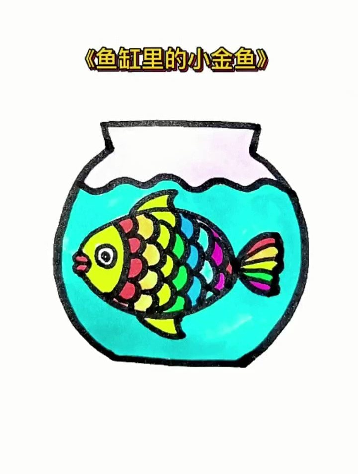 鱼缸里的小金鱼来啦