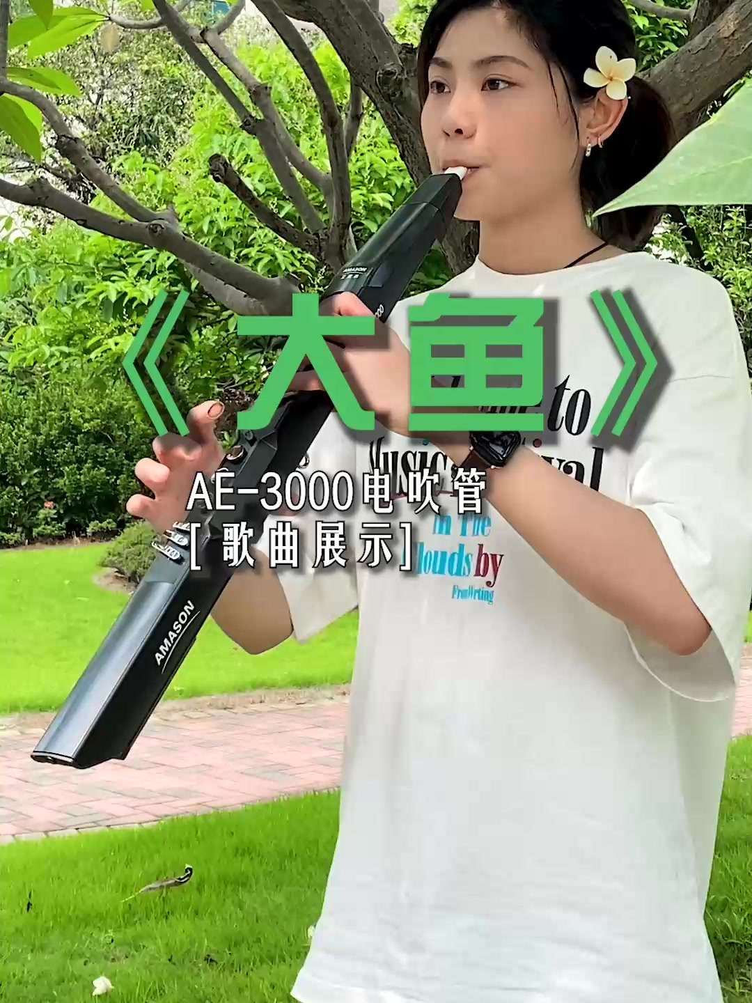 艾茉森电吹管丨「大鱼」