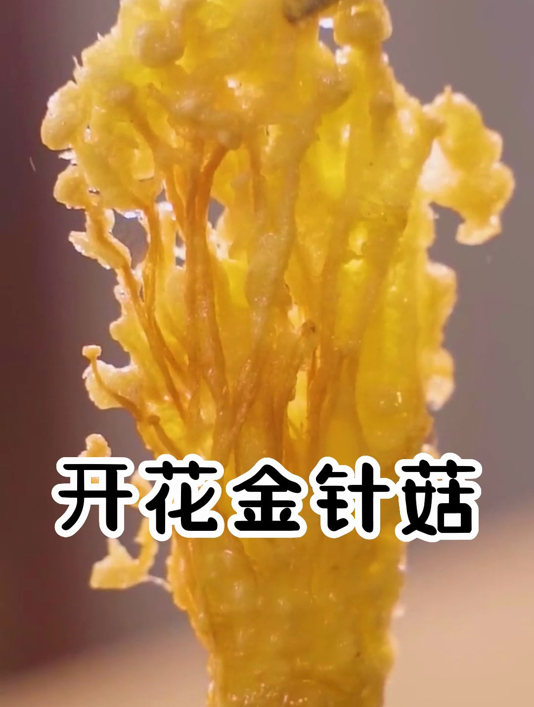 可以发朋友圈的酥脆金针菇