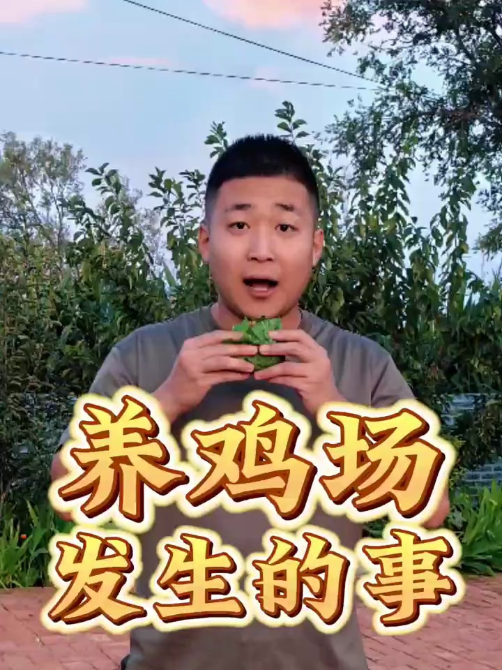 养鸡场发生的事,我竟然无能为力