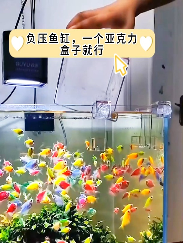 负压鱼缸原理视频,负压鱼缸怎么抽气,一个视频告诉你