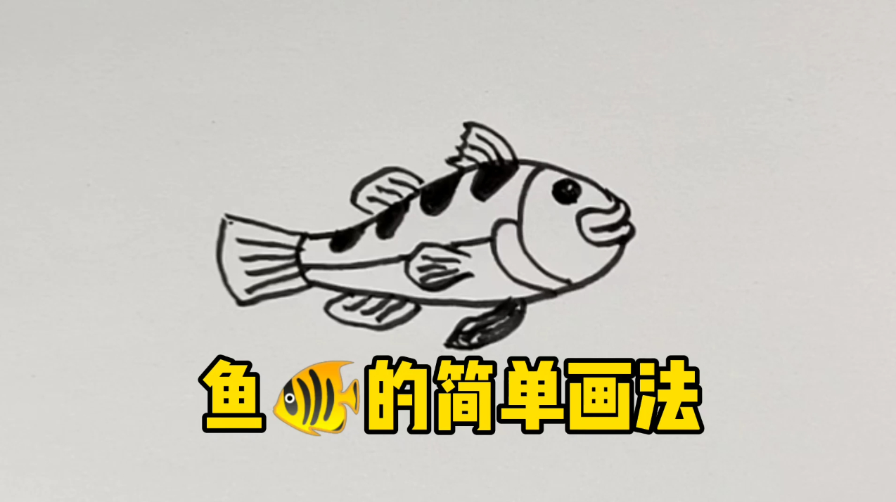 鱼的简单画法,一分钟学会