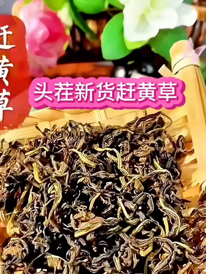 赶黄草又名扯根菜、山黄鳝,经常熬夜喝它非常好