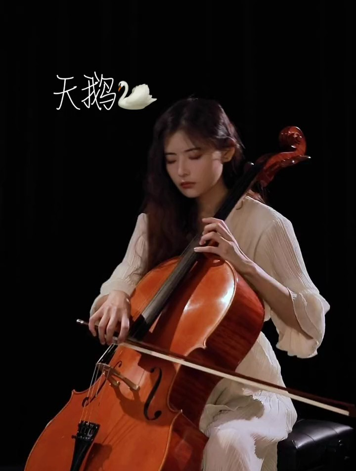 互动时间,大家想听什么呀,大提琴,乐器演奏《天鹅》