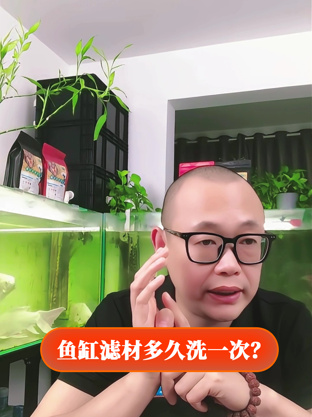 鱼缸滤材多久洗一次?