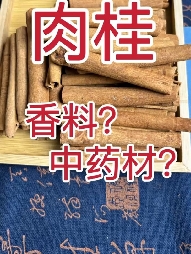 肉桂,每天认识一种中药材