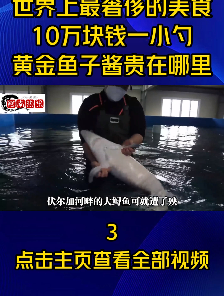 世界上最奢侈的美食,10万块钱一小勺,黄金鱼子酱究竟贵在哪里?