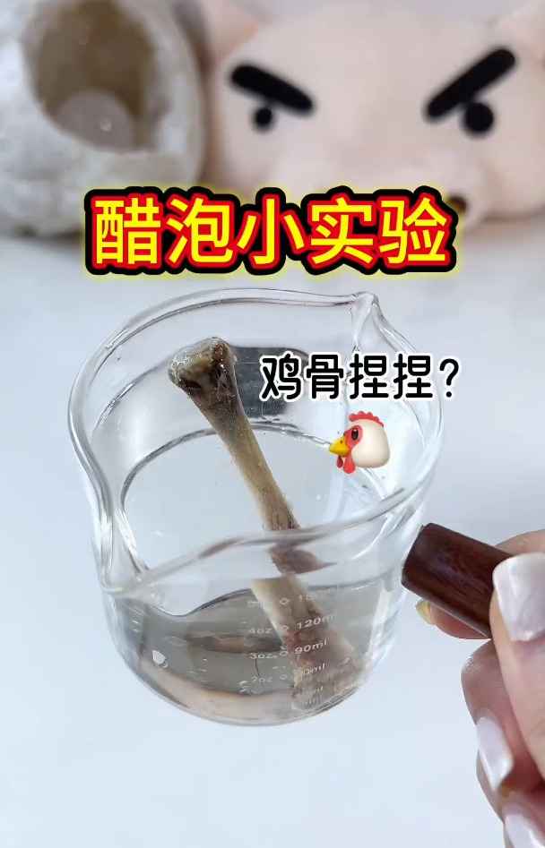 鸡骨头也能做捏捏了?