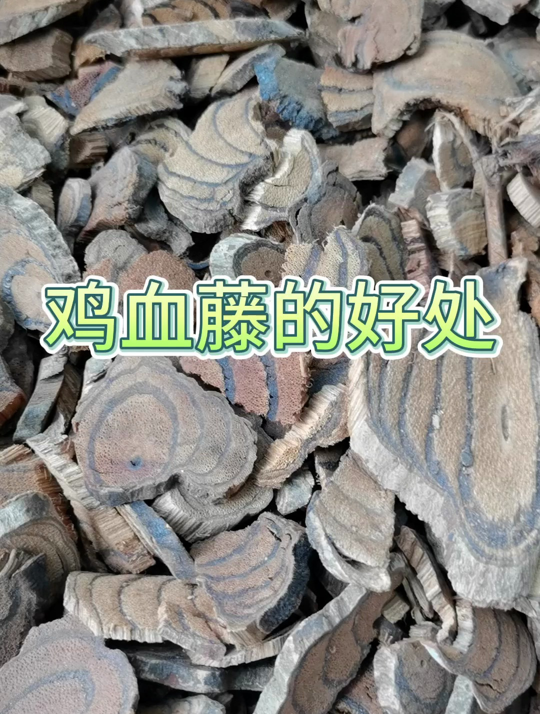 鸡血藤,家人们来了解一下吧