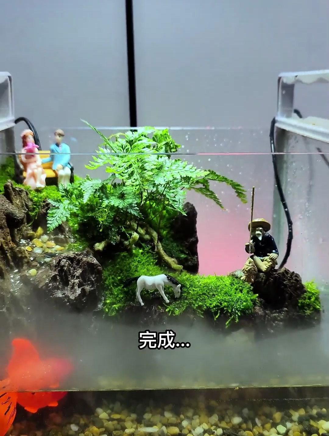 养不好鱼的 空鱼缸有没有 我教你做景 高山流水 仙气飘飘的那种