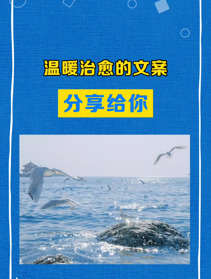 温暖治愈的文案,分享给你
