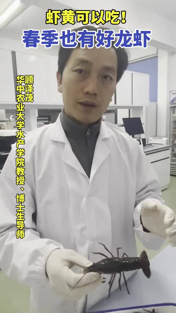 小龙虾虾黄能吃吗?啥时候品质最好?华农专家回应