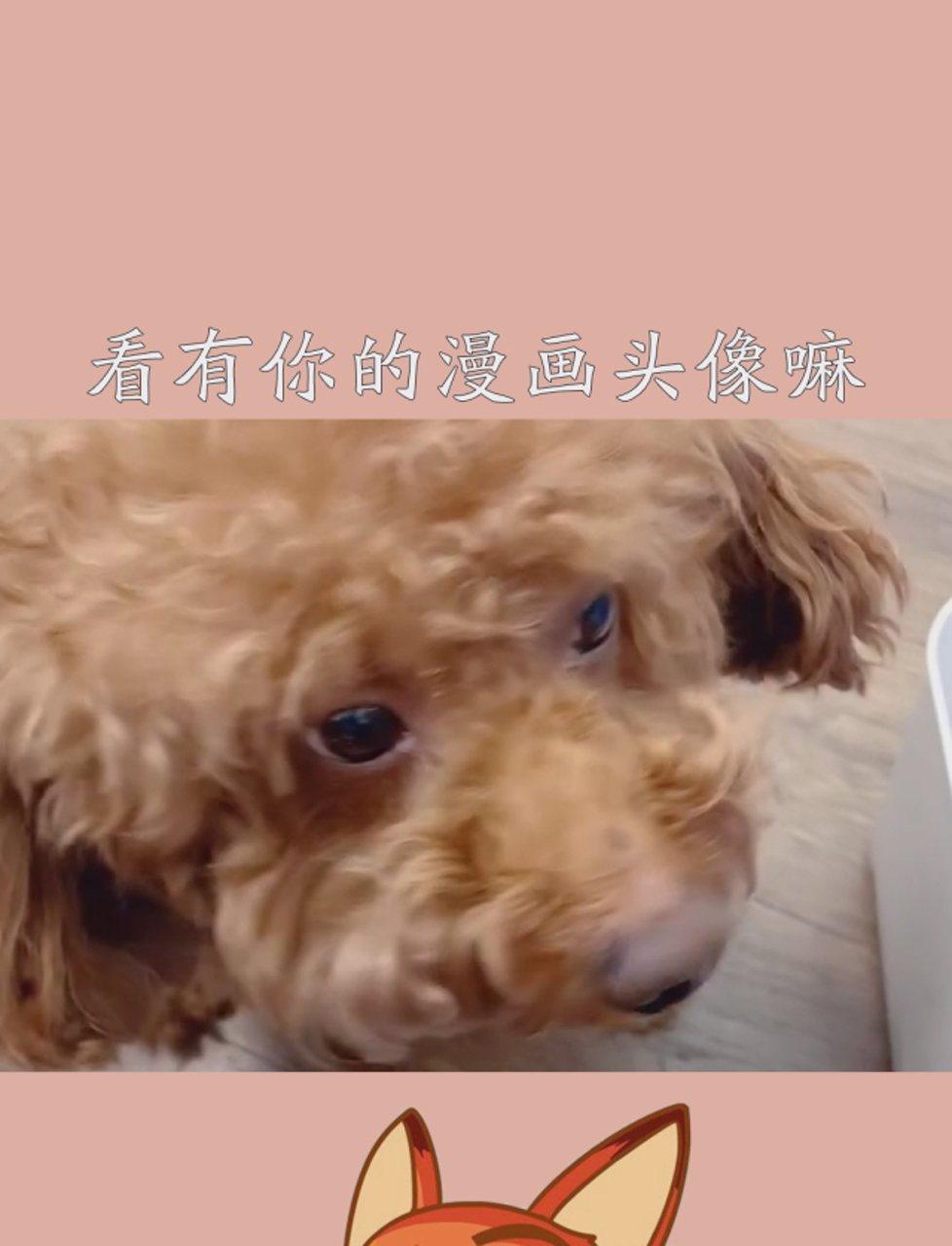 快来看看有你的漫画头像嘛