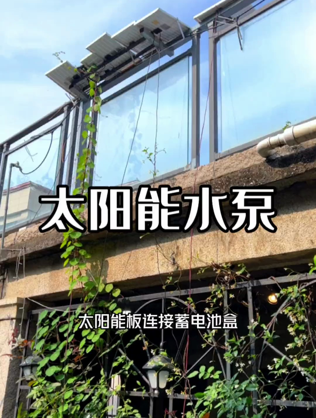 给鱼缸加上一个流水,不仅可以打氧除油膜,还可以做过滤