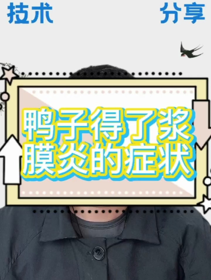 鸭子得了浆膜炎的症状