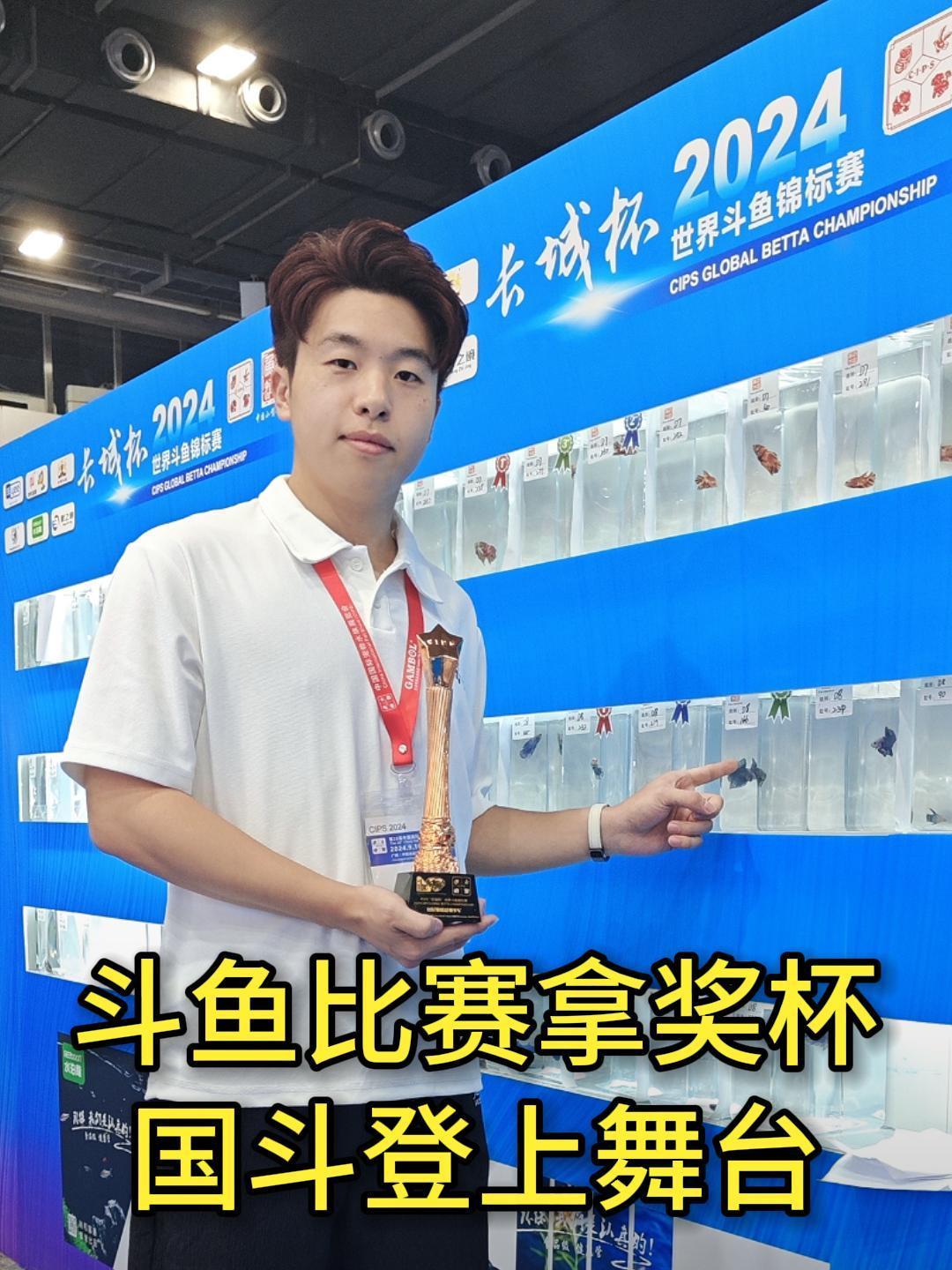 泰国斗鱼锦标赛拿奖杯啦!中国斗鱼首次登上舞台,意义重大