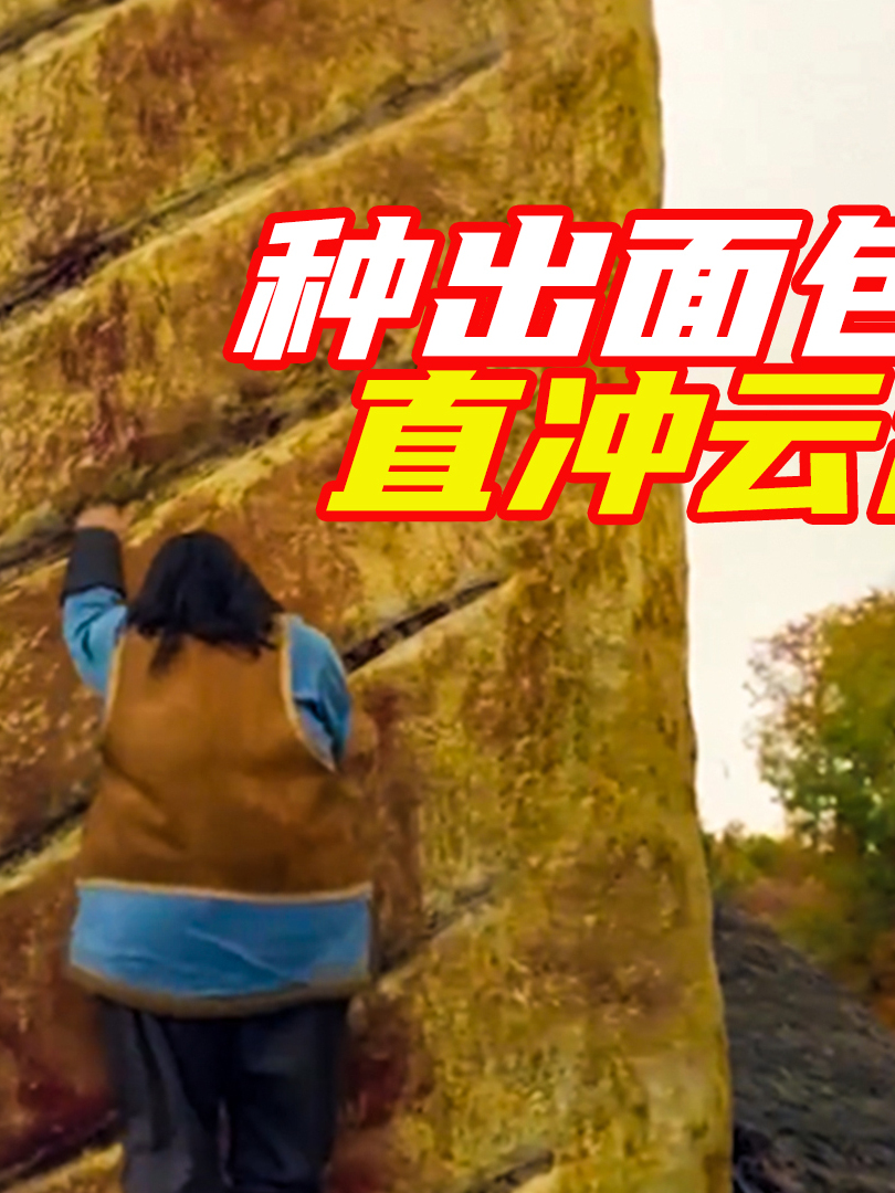 男孩中面包,长出参天面包树;奇幻片