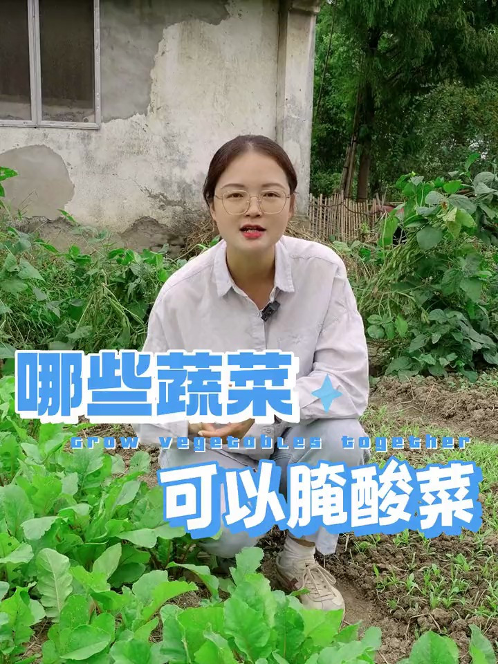 哪些蔬菜可以腌制成酸菜呢,第6种你一定吃过!