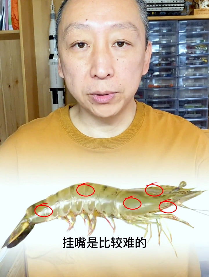 海钓饵活虾的挂钩方法