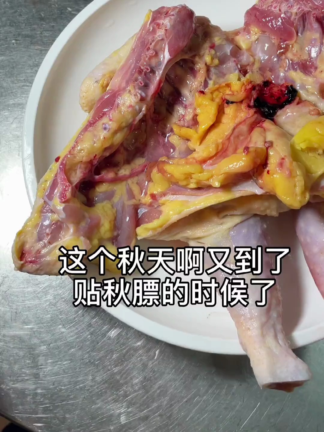 秋天炖一锅老鸡汤滋补温暖舒服