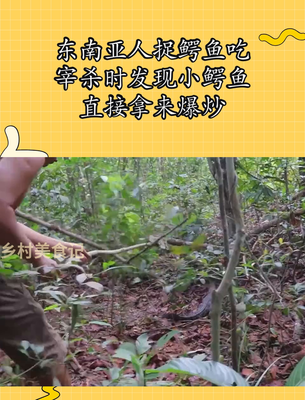 东南亚人捉鳄鱼吃,宰杀时发现小鳄鱼,直接拿来爆炒