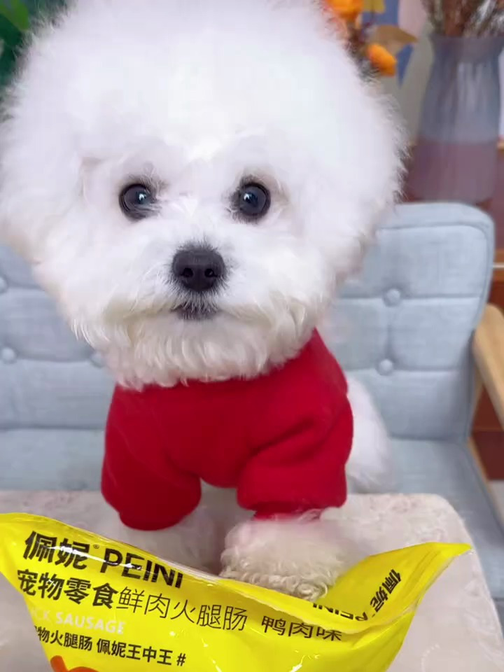 给毛孩子选香肠,就选这种鸭肉配方的,营养又下火