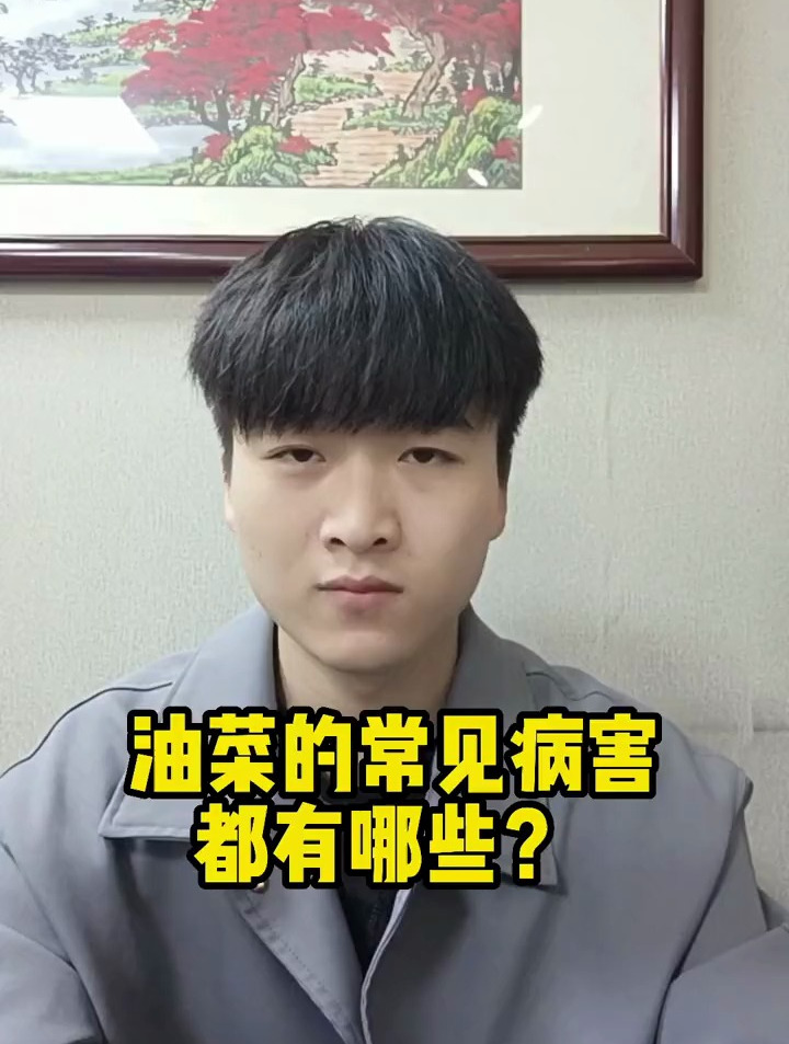 种植油菜的朋友们,你们知道油菜最容易发生的病害有哪些吗?