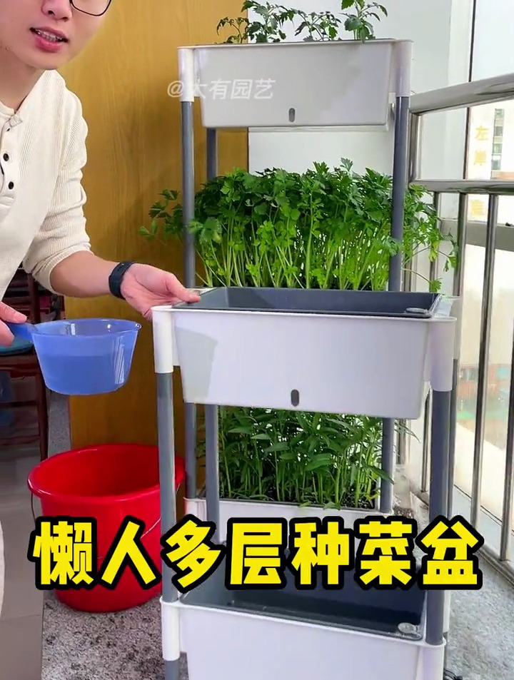 阳台种菜担心没地种,用上这个小妙招,轻松解决种菜难题!