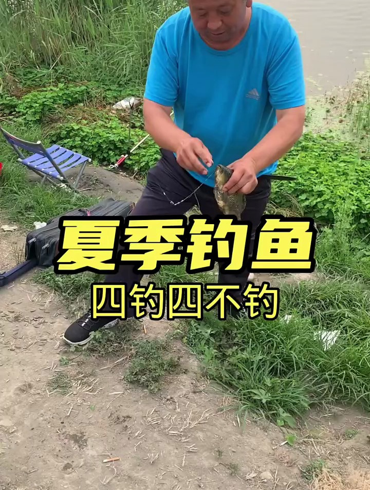 夏季钓鱼四钓四不钓,你是这样钓的吗