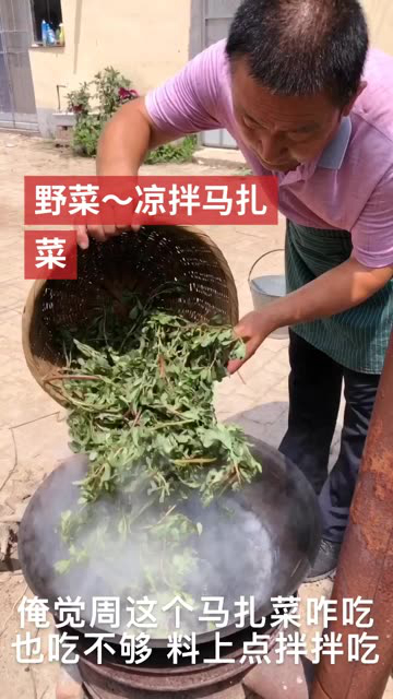 凉拌马扎菜,吃着特别爽口