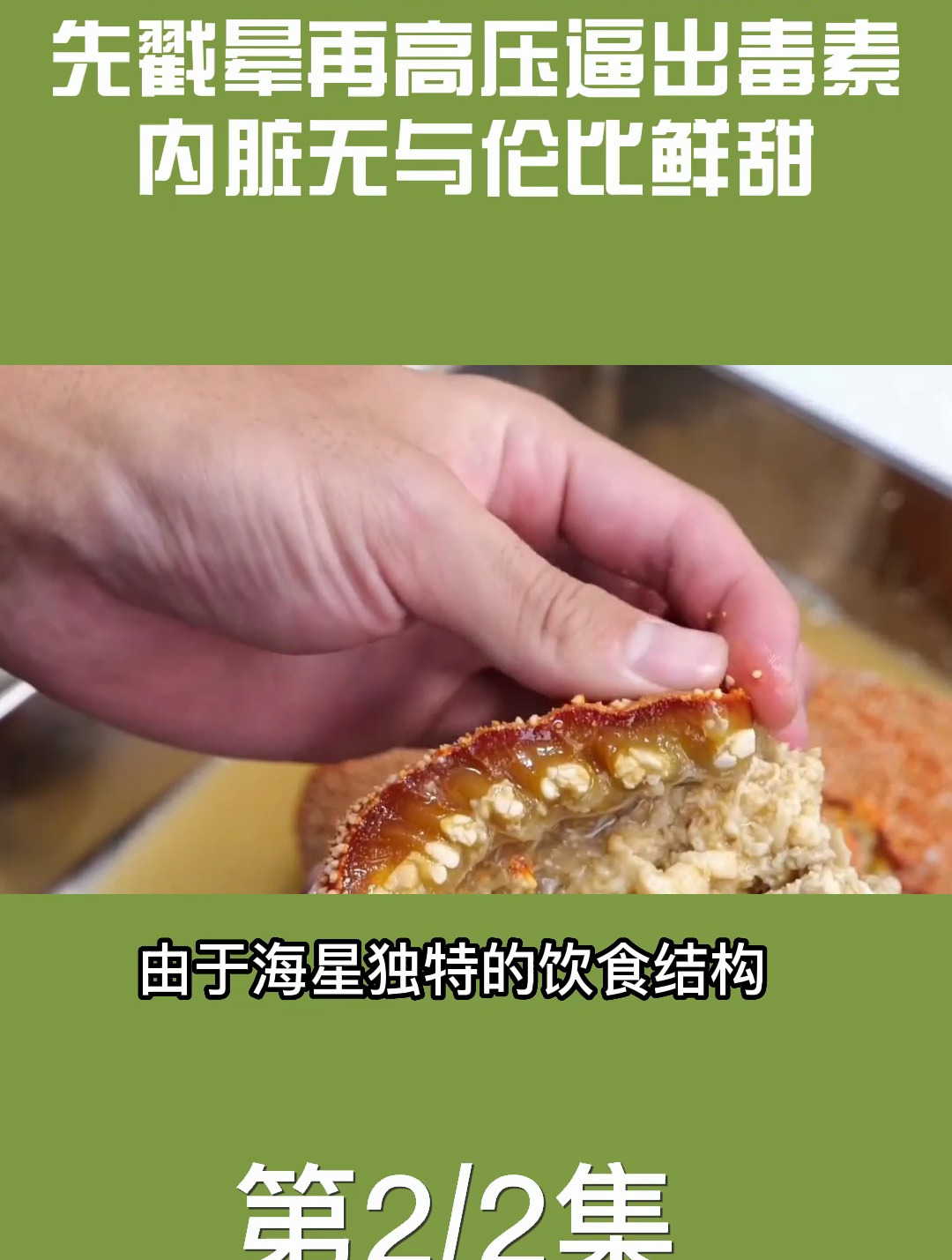 海星中的劳斯莱斯,先戳晕再高压逼出毒素,内脏无与伦比的鲜甜!