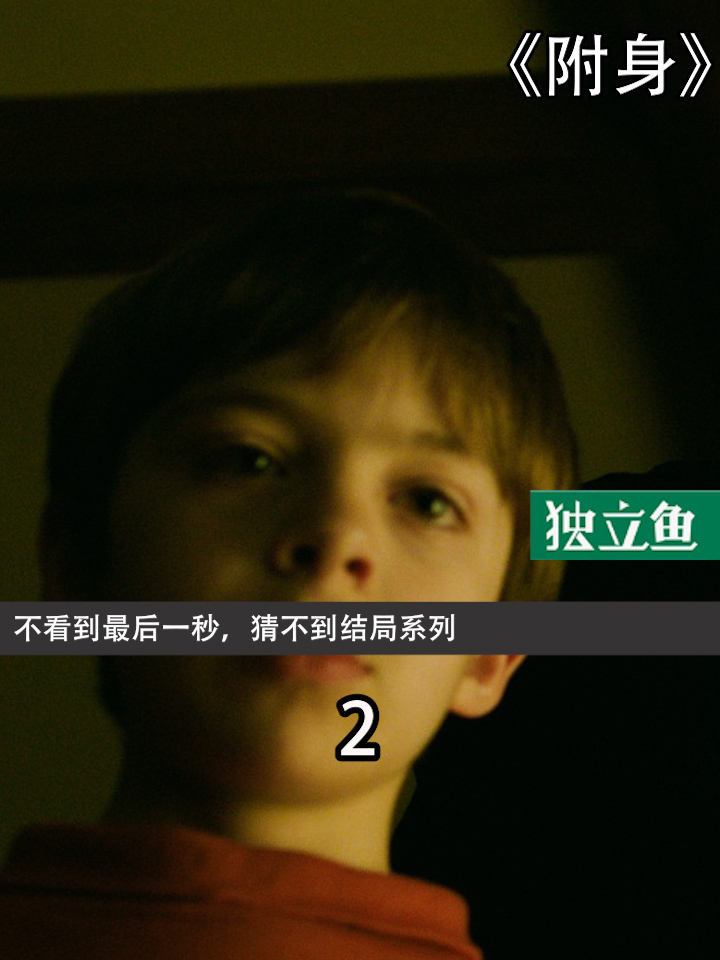小成本悬疑佳作!