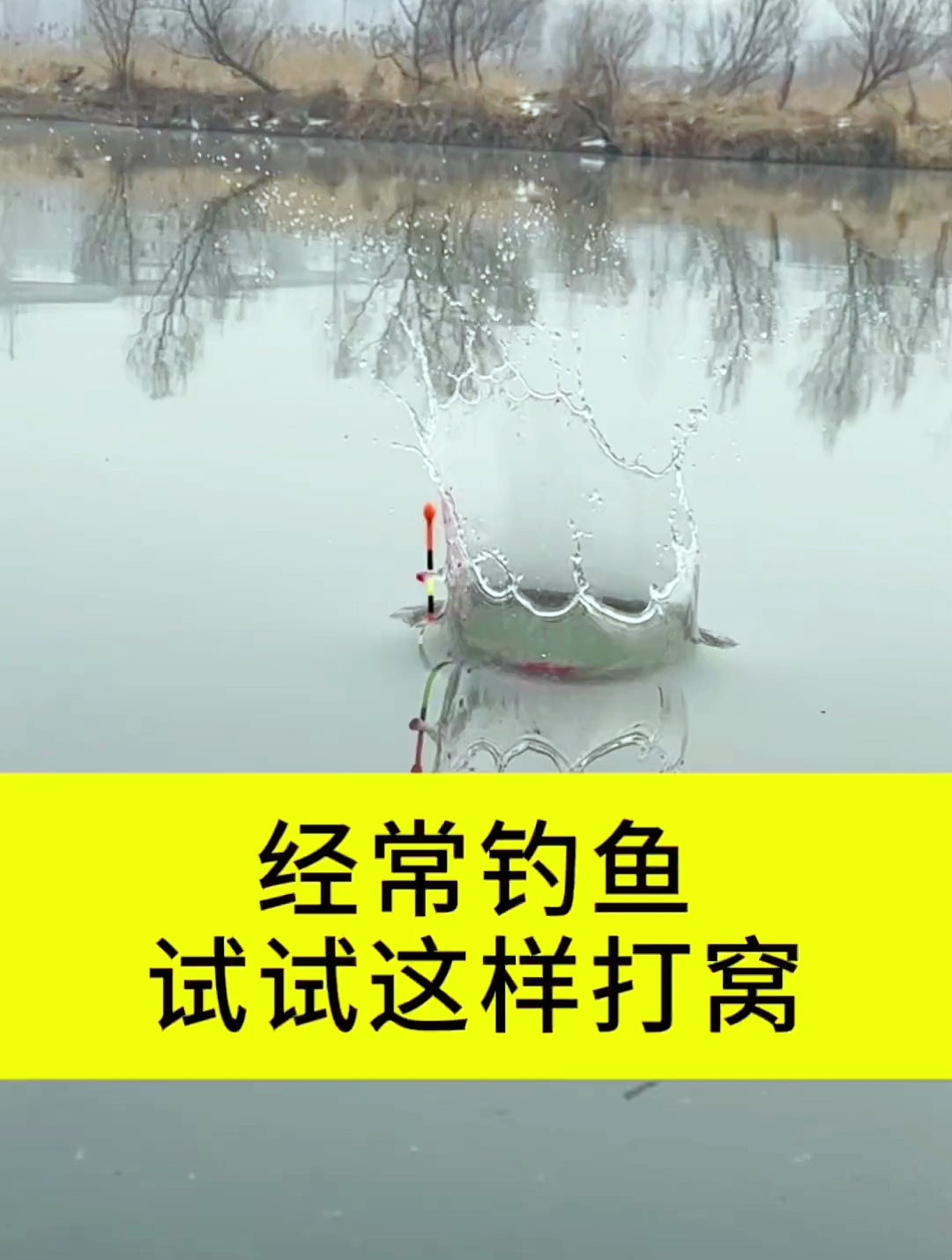 经常钓鱼的朋友来试试这样打窝,看看效果怎么样吧