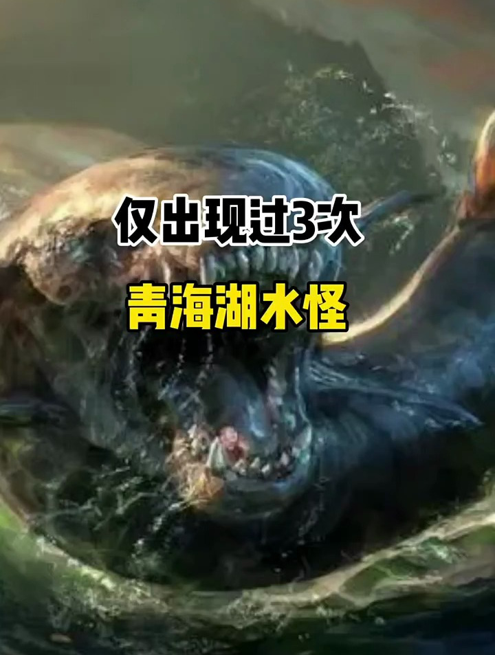 仅出现过三次的青海湖水怪,你看过吗?